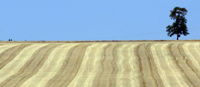 2011, l année la plus chaude depuis plus d un siècle en France